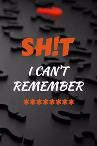 Shit I Can't Remember