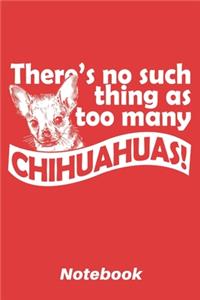 There's no such thing as too many chihuahuas