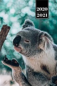 Koala Bear Rainforest Week Planner Weekly Organizer Calendar 2020 / 2021 - Sniff at Feet