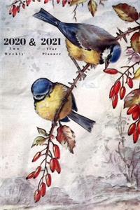 2020 & 2021 Two Year Weekly Planner - Appointment Book Gift - Two-Year Agenda Notebook For Bird Lover