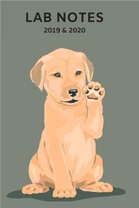 2020 & 2021 Two Year Weekly Planner For Labrador Retriever Owner - Cute Puppy Dog Pun Appointment Book Gift - Two-Year Agenda Notebook