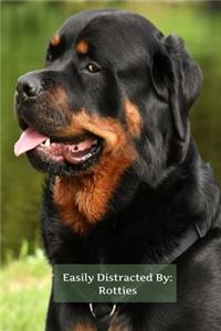 EASILY Distracted By Rotties