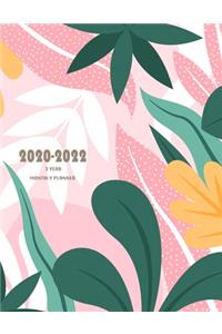 2020-2022 - 3 Year Monthly Planner