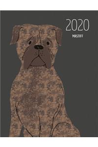 2020 Mastiff
