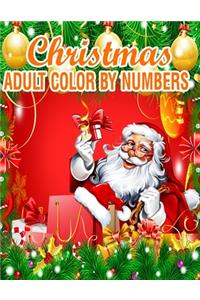 Christmas Adult Color By Numbers