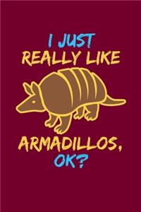 I Just Really Like Armadillos, Ok?