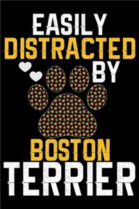 Easily Distracted by Boston Terrier