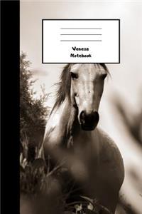 Veneza Notebook