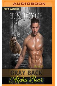 Gray Back Alpha Bear