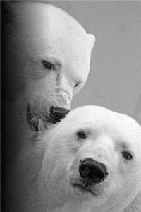 Polar Bears