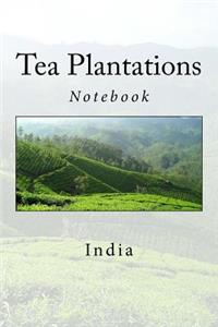 Tea Plantations