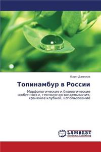Topinambur V Rossii