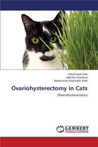 Ovariohysterectomy in Cats