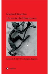 Havarierte Illusionen