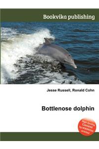 Bottlenose Dolphin