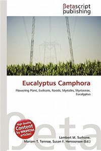 Eucalyptus Camphora