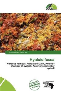 Hyaloid Fossa