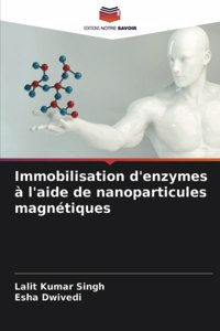 Immobilisation d'enzymes à l'aide de nanoparticules magnétiques