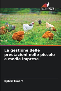 gestione delle prestazioni nelle piccole e medie imprese