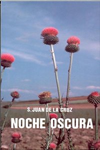 Noche Oscura (Livre en allemand)