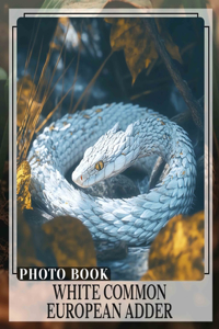 White Common European Adder Photo Book