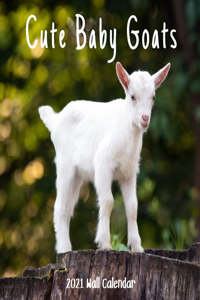 Cute Baby Goats 2021 Wall Calendar
