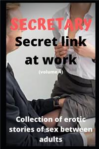SECRETARY Secret link at work (volume 4)
