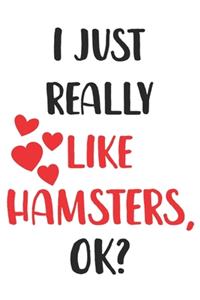 I Just Really Like Hamsters, Ok? Gift For Men, Women, Kids, Cute Notebook a Beautiful