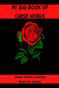 My Big Book Of Curse Words