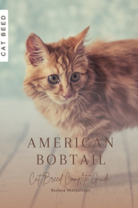 American Bobtail