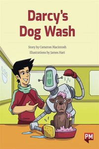 DARCYS DOG WASH