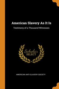 AMERICAN SLAVERY AS IT IS: TESTIMONY OF