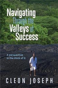 Navigating Through the Valleys of Success: A Perspective in the Thick of It