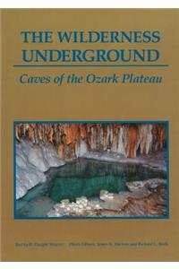 The Wilderness Underground
