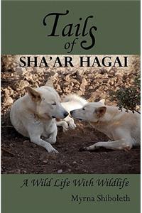 Tails of Sha'ar Hagai