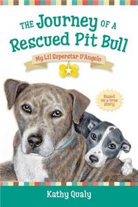 Journey of a Rescued Pit Bull