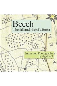 Beech