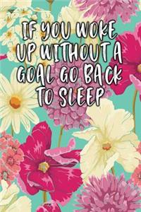 If You Woke Up Without a Goal Go Back to Sleep