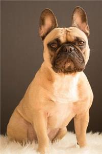 French Bulldog Dot Grid Journal