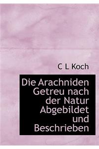 Die Arachniden Getreu Nach Der Natur Abgebildet Und Beschrieben