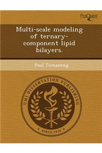 Multi-Scale Modeling of Ternary-Component Lipid Bilayers