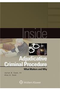 Inside Adjudicative Criminal Procedure