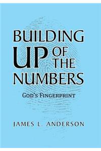 Building Up of the Numbers