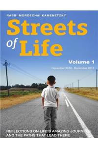 Streets of Life Collection Vol. 1 2011