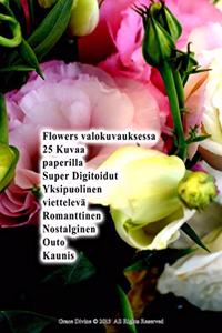 Flowers valokuvauksessa 25 Kuvaa paperilla Super Digitoidut Yksipuolinen viettelevä Romanttinen Nostalginen Outo Kaunis