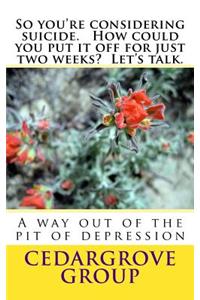 So you're considering suicide. How could you put it off for just two weeks? Let's talk.