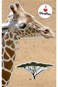 Giraffe Lined Notebook