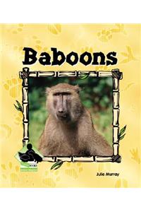Baboons
