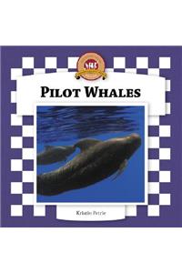 Pilot Whales