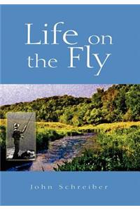 Life on the Fly